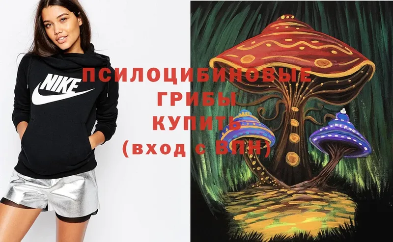 Псилоцибиновые грибы Psilocybe  shop состав  Кологрив 